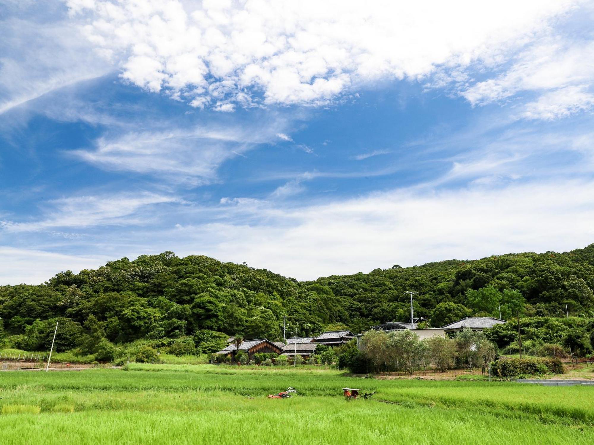 オリーブ農家の家 お泊り忠左衛門 吉野 Villa Shodoshima Buitenkant foto